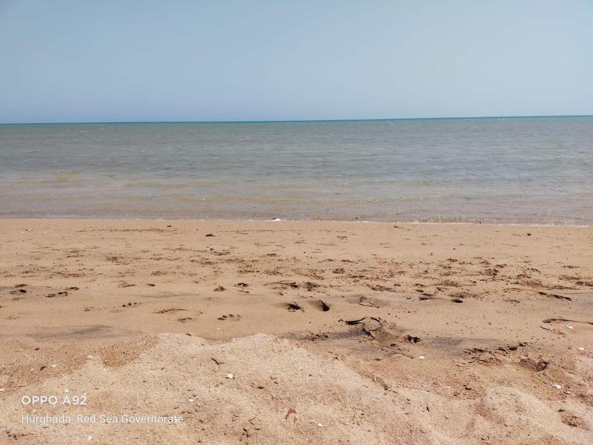 הורגהדה Apartment Bella Vita Near The Sea Redsealine מראה חיצוני תמונה